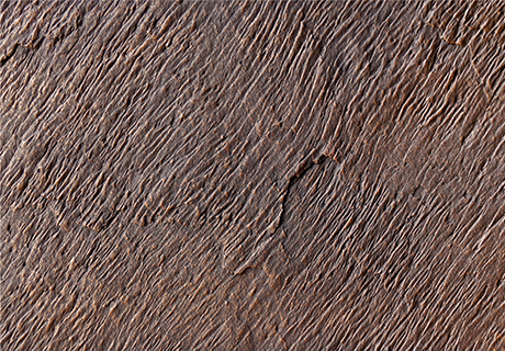 CQ9电子·(集团)唯一官方网站